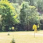 Casa Marina, En Plena Naturaleza Y Vistas Al Campo Feriehus Pontevedra